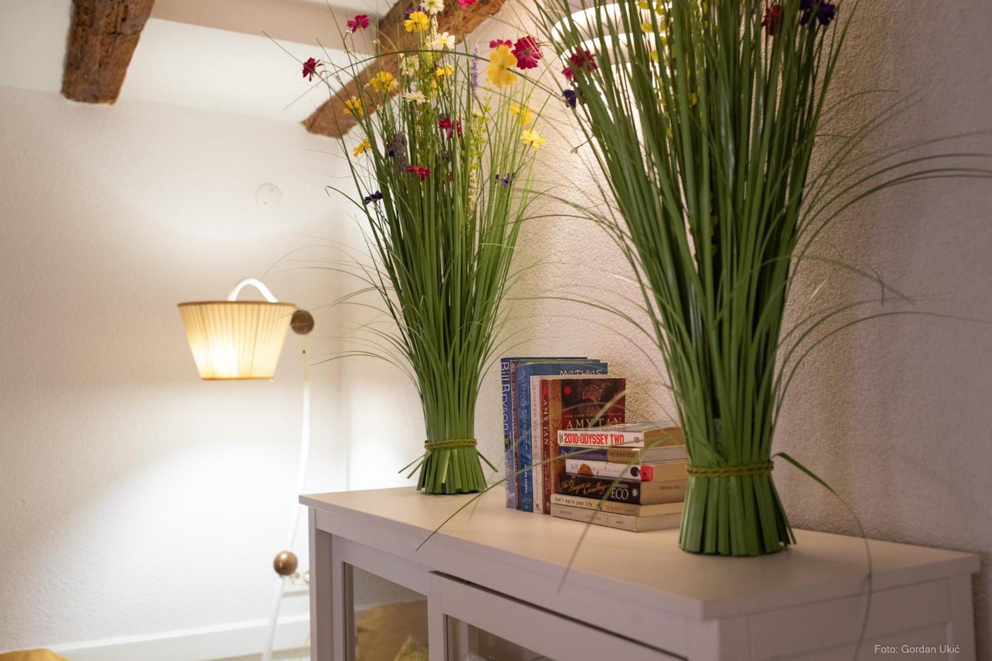 Apartment Jolli Rovinj Dış mekan fotoğraf